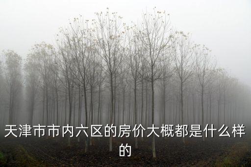 天津市市內(nèi)六區(qū)的房價(jià)大概都是什么樣的