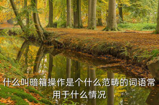 什么叫暗箱操作是個什么范疇的詞語常用于什么情況