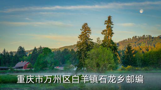 重慶市萬州區白羊鎮石龍鄉郵編