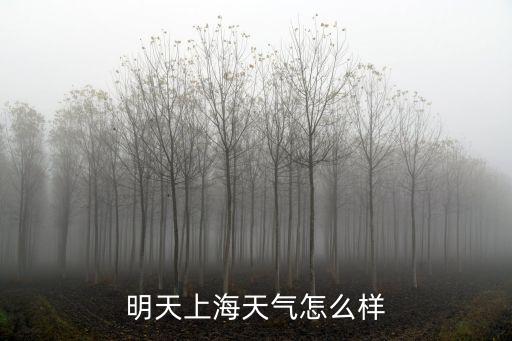 明天上海天氣怎么樣