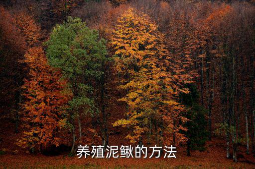 泥鰍怎么養(yǎng),怎么養(yǎng)泥鰍才能養(yǎng)好?