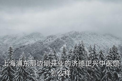上海浦東那邊剛開業(yè)的濟德正興中醫(yī)館怎么樣