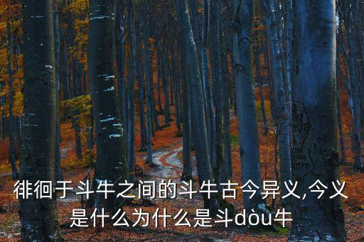 徘徊于斗牛之間的斗牛古今異義,今義是什么為什么是斗dòu牛