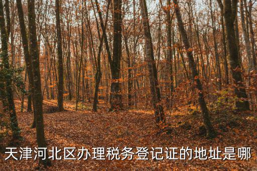 天津市稅務(wù)局2018年第30號(hào)，國(guó)稅發(fā)18號(hào)還有效嗎