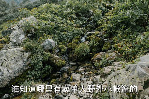 單人帳篷,野外露營帳篷密封之后還有氧氣可用嗎?