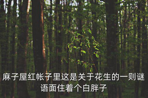 麻子屋紅帳子里這是關于花生的一則謎語面住著個白胖子
