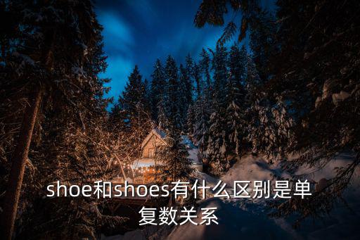 shoe和shoes有什么區別是單復數關系