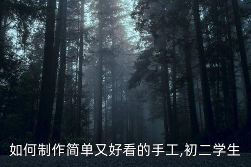 如何制作簡單又好看的手工,初二學生