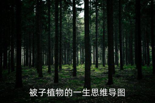 被子植物的一生,子植物學知多少?問與答（18）