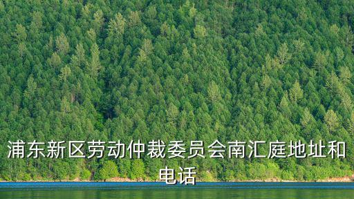 浦東新區(qū)勞動仲裁委員會南匯庭地址和電話