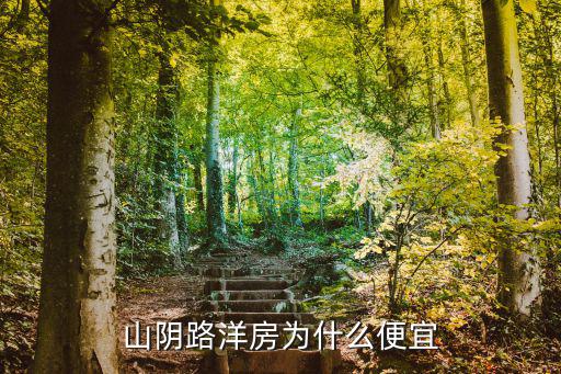 山陰路洋房為什么便宜