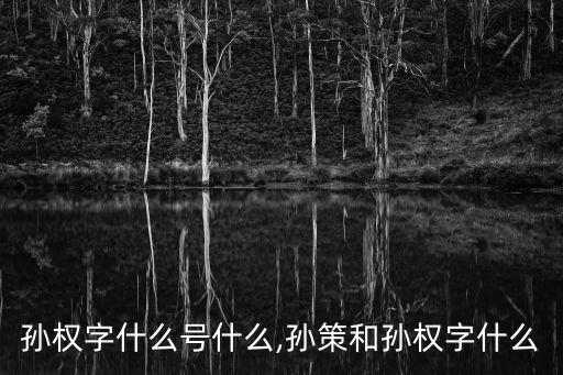 孫權字什么號什么,孫策和孫權字什么