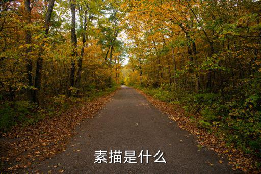 素描是什么