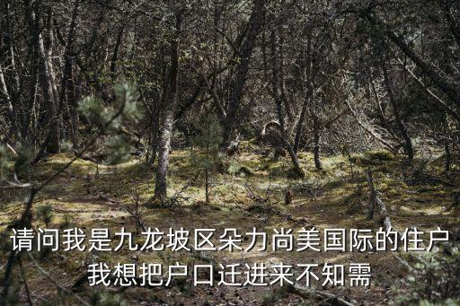 請問我是九龍坡區朵力尚美國際的住戶我想把戶口遷進來不知需