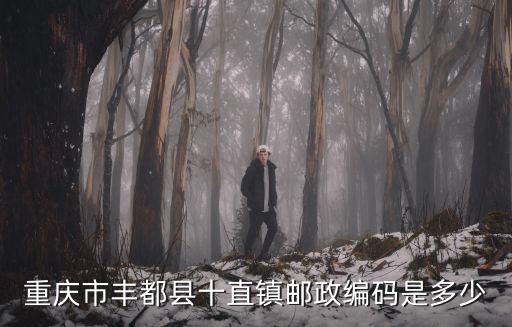 重慶市豐都縣十直鎮郵政編碼是多少