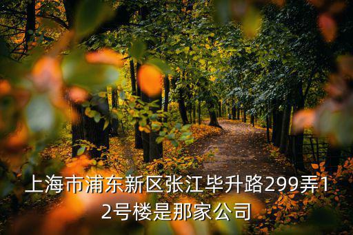 上海市浦東新區(qū)張江畢升路299弄12號(hào)樓是那家公司
