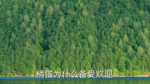 橘貓為什么備受歡迎