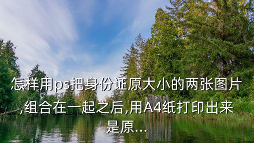 怎樣用ps把身份證原大小的兩張圖片,組合在一起之后,用A4紙打印出來是原...