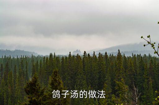 鴿子湯的做法