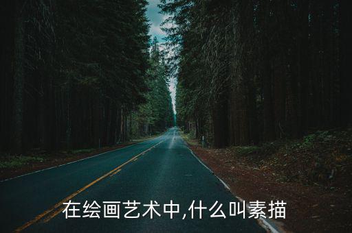 在繪畫藝術(shù)中,什么叫素描