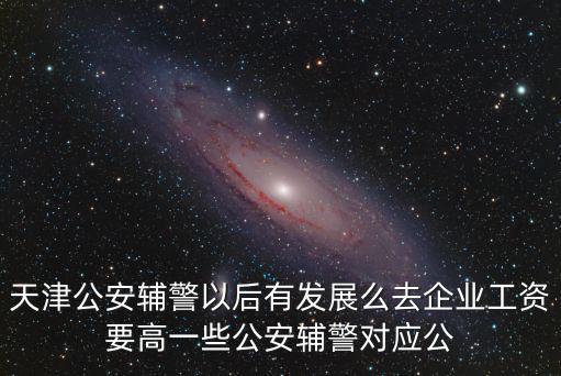 天津公安輔警以后有發展么去企業工資要高一些公安輔警對應公