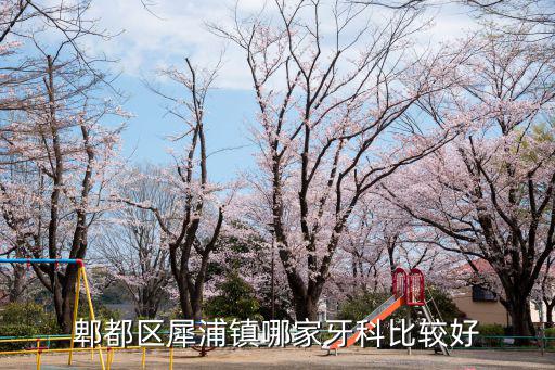 成都市郫都區華苑診所怎么樣，郫都區犀浦鎮哪家牙科比較好