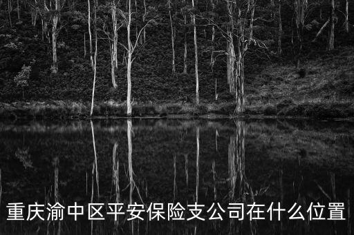 重慶渝中區(qū)平安保險支公司在什么位置