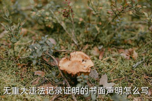 書面聲明,管理層拒絕提供書面聲明會計師出具保留意見報告