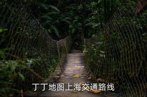 上海交通地圖，丁丁地圖上海交通路線