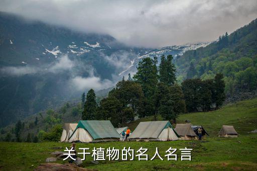 關于植物的名人名言