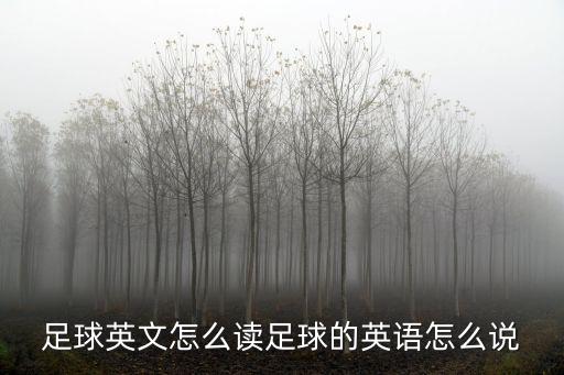足球英文怎么讀足球的英語怎么說