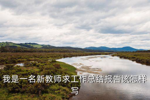 新教師個人總結，我是一名新教師求工作總結報告該怎樣寫