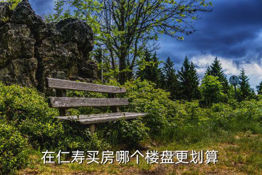 在仁壽買房哪個樓盤更劃算