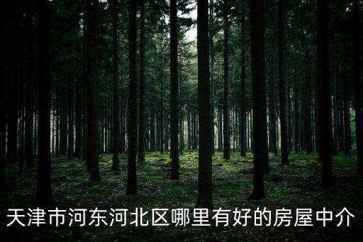 天津市河?xùn)|河北區(qū)哪里有好的房屋中介
