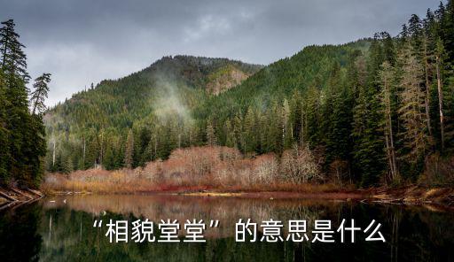 相貌堂堂造句,相貌堂堂指什么?