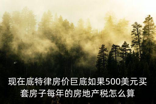 如何估價海外房價，現在底特律房價巨底如果500美元買套房子每年的房地產稅怎么算