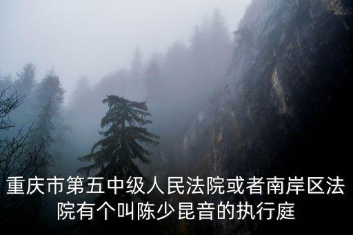 重慶市第五中級人民法院或者南岸區法院有個叫陳少昆音的執行庭