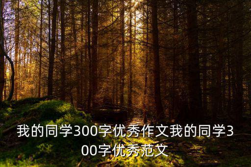 我的同學300字優秀作文,初中生作文300字