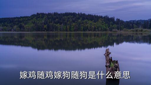 嫁雞隨雞嫁狗隨狗,嫁雞隨雞，嫁狗隨狗
