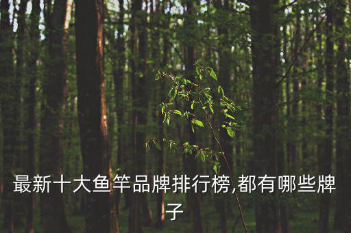 最新十大魚竿品牌排行榜,都有哪些牌子