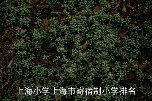 上海民辦小學(xué)排名，上海小學(xué)上海市寄宿制小學(xué)排名