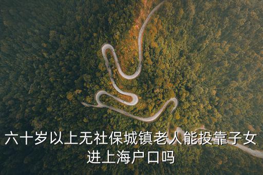 六十歲以上無社保城鎮老人能投靠子女進上海戶口嗎