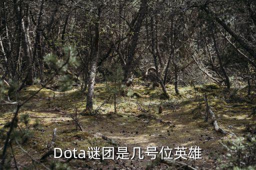 Dota謎團是幾號位英雄