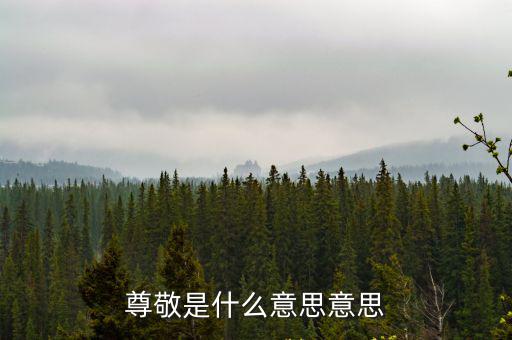 尊敬是什么意思,尊敬老師和可愛同學是什么意思?
