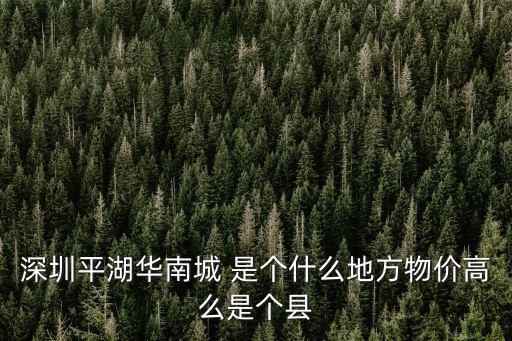 深圳平湖華南城 是個什么地方物價高么是個縣