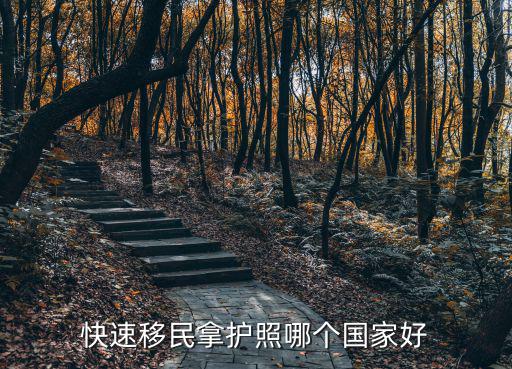 快速移民拿護照哪個國家好
