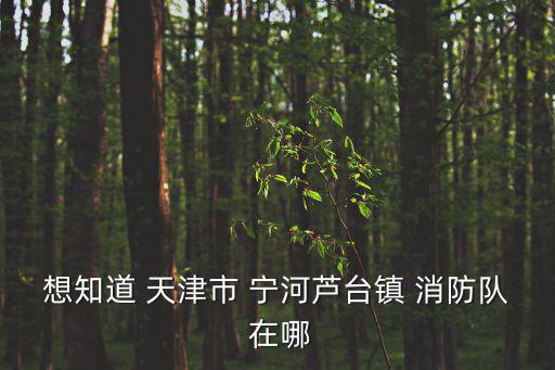 想知道 天津市 寧河蘆臺鎮 消防隊 在哪