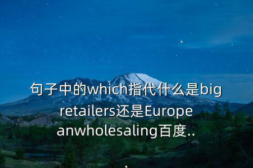 句子中的which指代什么是bigretailers還是Europeanwholesaling百度...