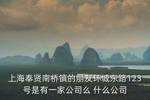 上海奉賢南橋鎮(zhèn)的朋友環(huán)城東路123號(hào)是有一家公司么 什么公司
