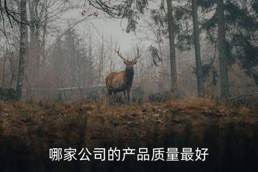 哪家公司的產品質量最好